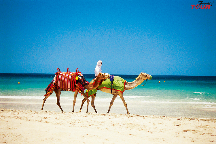 Bajeczne wakacje w Emiratach Arabskich! Wylot z Katowic!