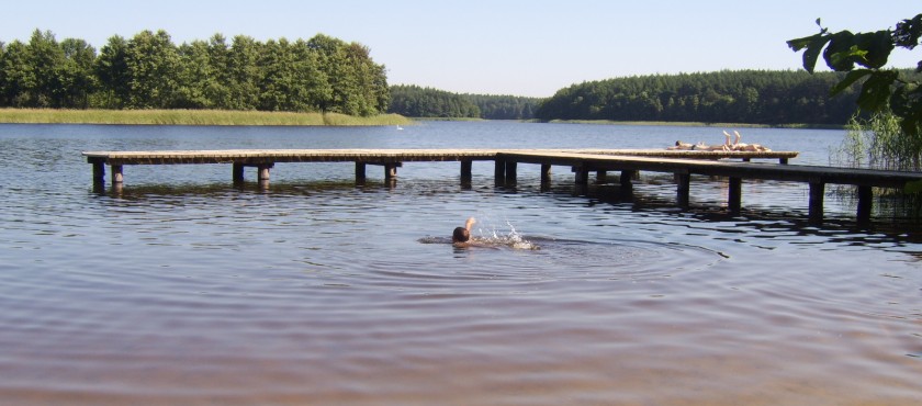 Bory Tucholskie – jeziora – tanie noclegi na Kociewiu