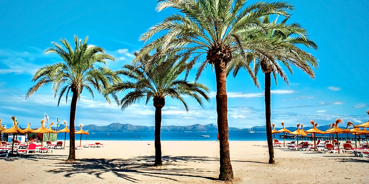Lato 2020 na Majorce- odkryj rajskie plaże w cieniu palm!
